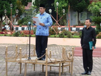 Wabup Yulfadri Nurdi saat membacakan amanat Mendagri.