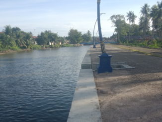 Normalisasi Batang Piaman ya