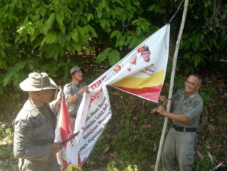 Penetiban APK Pemilu 2019 di Kab. Agam.