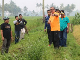 Wako Payakumbuh bersama rombongan menelusuri irigasi di Taruko.