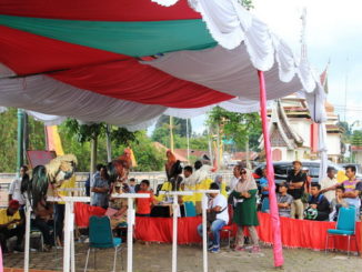 Lomba Ayam Kukuak Balenggek di Kab. Solok.