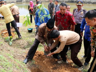 Bupati Sijunjung, Yuswir Arifin menanam pohon pelindung menandai kegiatan konservasi perkampungan adat.