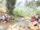 Suasana saat pembukaan lubuak larangan d Jorong Sungai Dareh, Sumiso, Tigo Lurah.