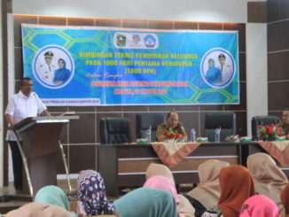 Bimbingan Teknis Pendidikan Keluarga dalam rangka penurunan angka stunting.