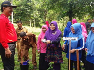 Peringatan Hari Bumi dan Gerakan Perempuan Menanam Tingkat Provinsi Sumatra Barat tahun 2019 Digelar Di Lubuk Sikaping.