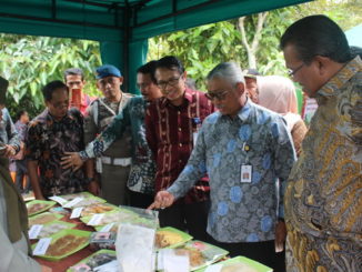 Bupati Gusmal dan tamu undangan saat peninjuaj hasil ulahan pisang Kepok Tanjung