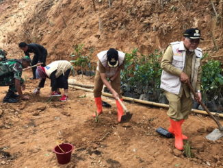 Wawako Zohirin yang ikut menanam rumput vertiter.