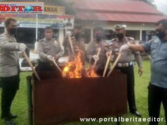 Pemusnahan 15 kg ganja di Polres Pasaman.