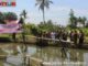 Penebaran bibit ikan di kolam Mesjid Nurul Jihad PDTM.