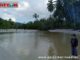 Pesona pantai desa goisooinan sipora Utara Mentawai.