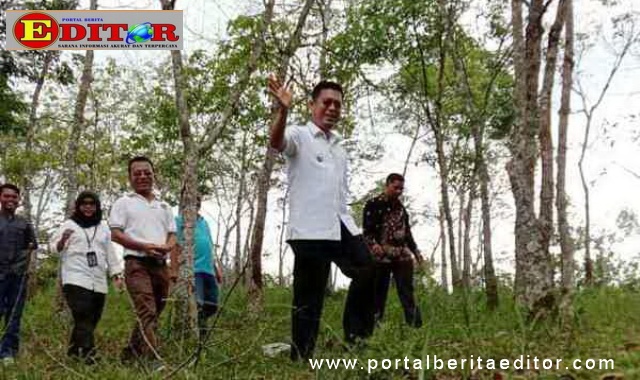 Wabup H Atos Pratama meninjau lokasi pembangunan tower telekomunikasi daerah terpencil.