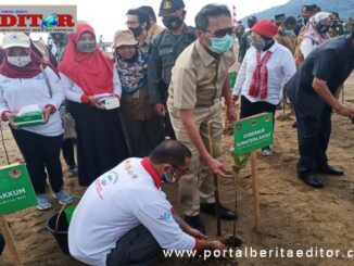 Gubernur Irwan Prayitno saat penanaman mangrove.