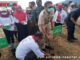 Gubernur Irwan Prayitno saat penanaman mangrove.