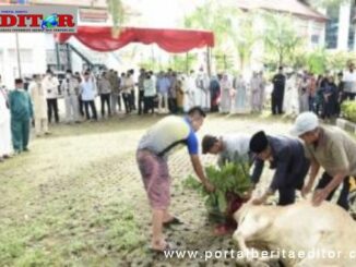 Pemotongan hewan qurban di mushalla balaikota Pariaman.