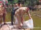 Wagub Nasrul Abit mebarkan bibit ikan nila.