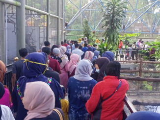 Inilah kondisi di kebun binatang Bukittinggi pada sore Rabu, 23 Desember 2020.