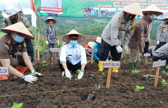 Bupati Solok saat melakukan penanaman.