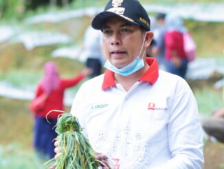 Kepala Desa Kubang Tangah Rice