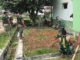 Bersih-bersih di sekitar Makodim Mentawai.