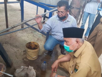Gubernur Mahyeldi saat meninjau pengolahan serai wangi.