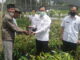 Penyerahan bibit buah-buahan di Pasaman.