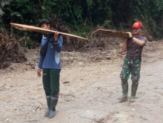 Anggota satgas TMMD tengah melansir kayu dibawah siraman hujan.