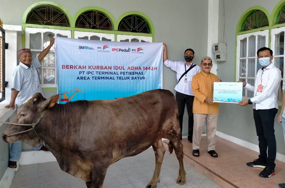 PT. IPC Terminal Petikemas Area Terminal Teluk Bayur menyerahkan 1 Ekor Sapi Qurban kepada Pengurus Masjid Baitul Atiq Seberang Padang.