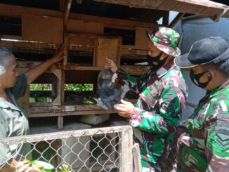 Satgas TMMD Belajar Beternak Kelinci