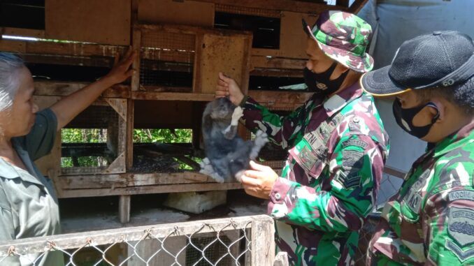 Satgas TMMD Belajar Beternak Kelinci