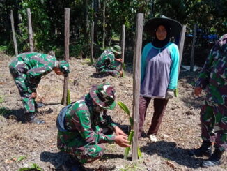 Satgas TMMD kunjunngi budidaya tanaman buah naga yang dilakukan Emi di Talang aur.