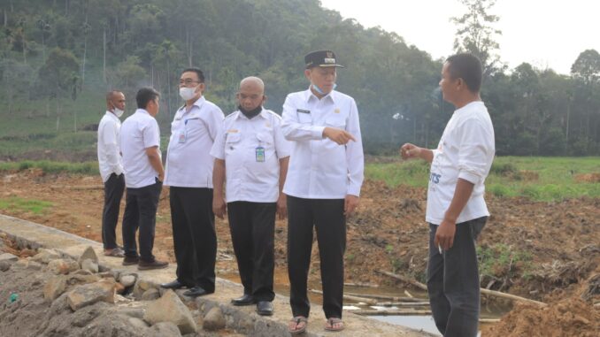Wabup saat meninjau pembangunan embung.