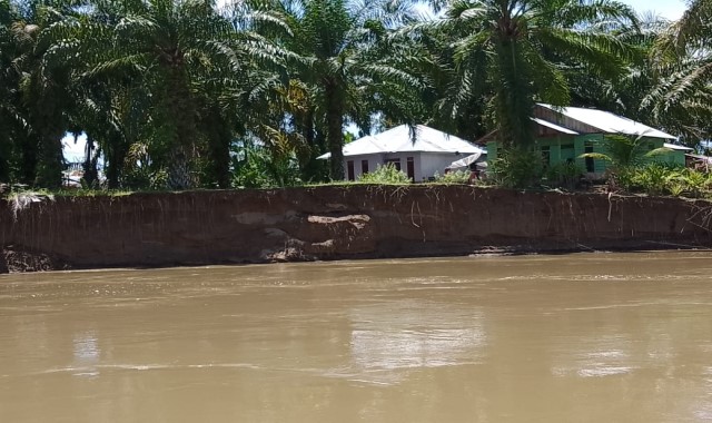 Desa yang selalu terancam banjir di Pasbar.