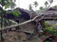Rumah yang tertimpa pohon tumbang.