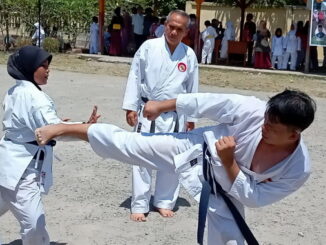 Teknik kumite Lemkari.