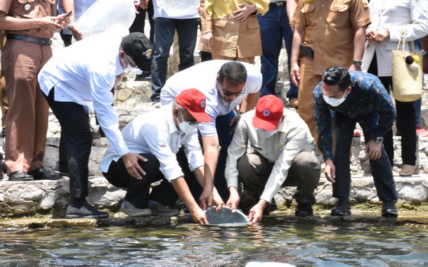 Penebaran bibit ikan bilih di Danau Singkarak.