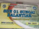 SDN 01 Sungai Balantiak.