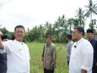 Wabup Richi Aprian saat peninjauan ke lapangan.