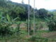 Lahan pembangunan embung.