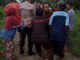 Keributan di PT. Anam Koto.