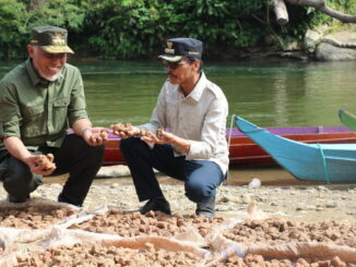 Gubernur Mahyeldi bersama bupati Safaruddin saat memeriksa gambir.