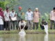 Bupati 50 Kota, tebarkan 38 ribu bibit ikan di kolam Pokdakan Galoga Jaya, Kubang Rasau Nagari Balaipanjang.