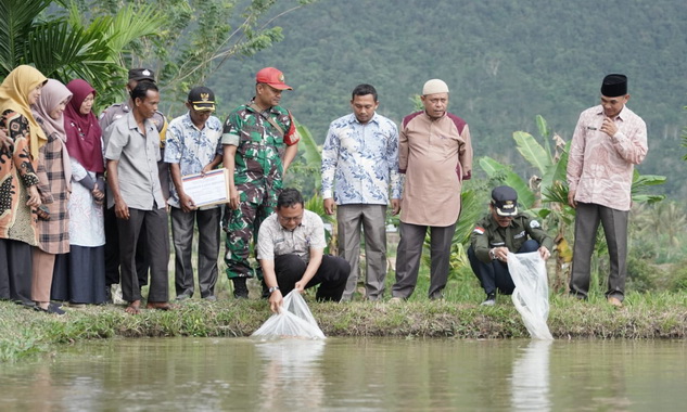 Bupati 50 Kota, tebarkan 38 ribu bibit ikan di kolam Pokdakan Galoga Jaya, Kubang Rasau Nagari Balaipanjang.