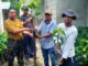 Pembagian bibit pohon mangga dan manggis.