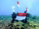 Pengibaran bendera merah putih di dasar laut.