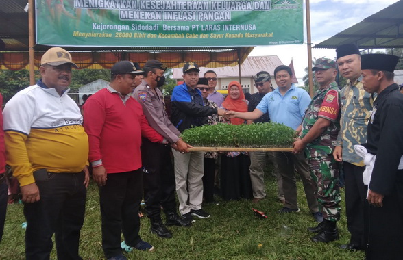 Penyeraham bibit cabe kepada masyarakat.