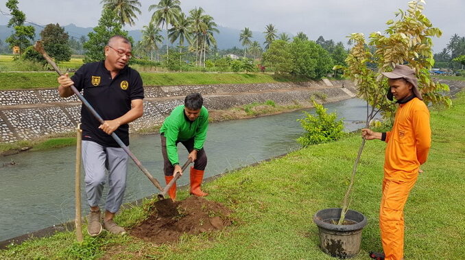 Wako Riza Falepi saat menanam