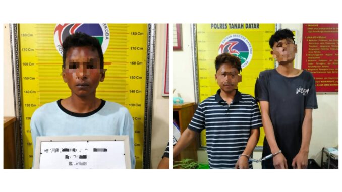 Satres Narkoba Polres Tanah Datar Berhasil Menangkap 3 Orang Pelaku Penyalahgunaan Narkoba Jenis Ganja