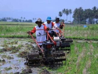Capaian Progul Bajak Gratis Di Tanah Datar Tahun 2022 Lebih Dari 100%