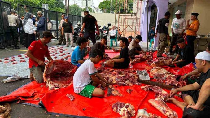 DPP Gebu Minang Serahkan Daging Kurban Idul Adha 1444 H Sebagai Wujud Keikhlasan