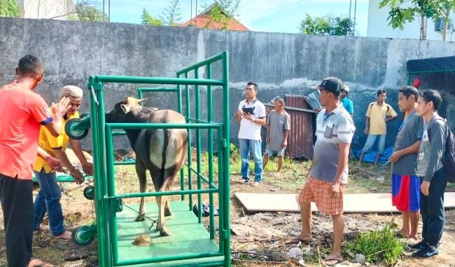 Idul Adha 1444 Hijriah di Masjid Ar- Raudha Memberi Makna Bagi Masyarakat Sekitar Kampuang Lapai